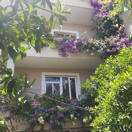 טיראנה Flowers Guesthouse מראה חיצוני תמונה
