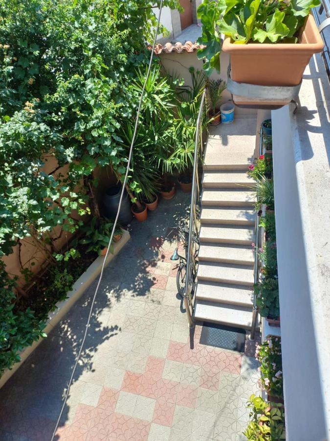 טיראנה Flowers Guesthouse מראה חיצוני תמונה