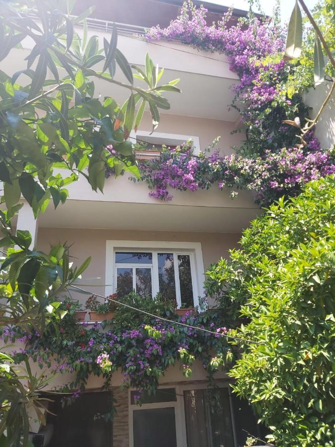 טיראנה Flowers Guesthouse מראה חיצוני תמונה