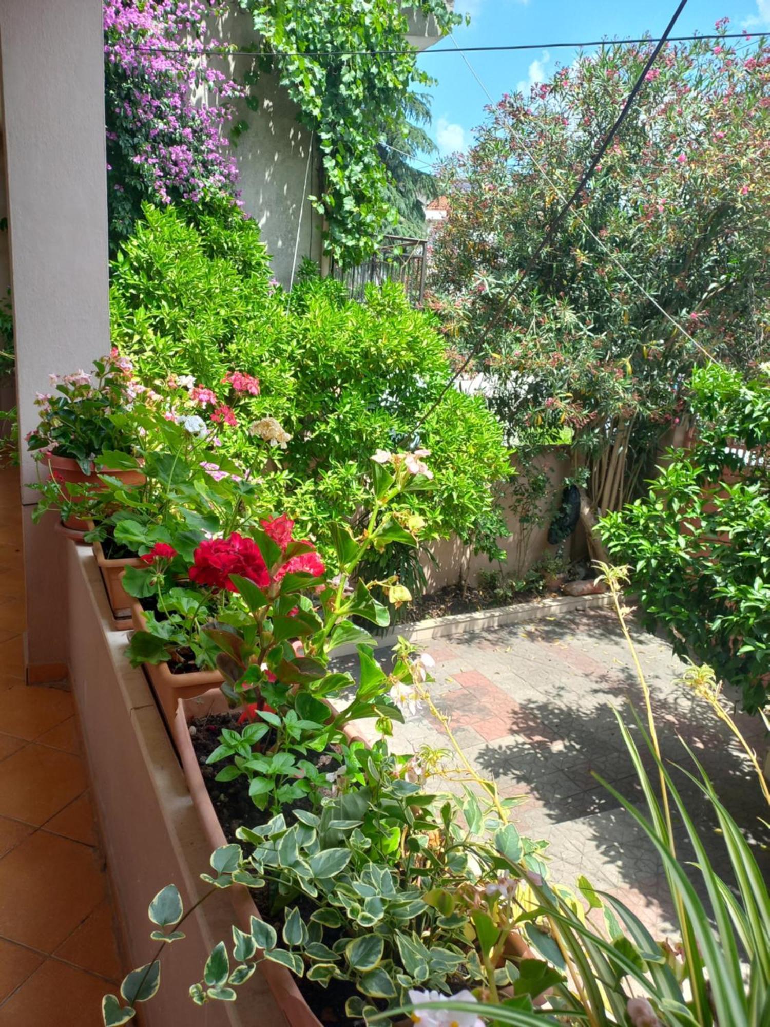 טיראנה Flowers Guesthouse מראה חיצוני תמונה